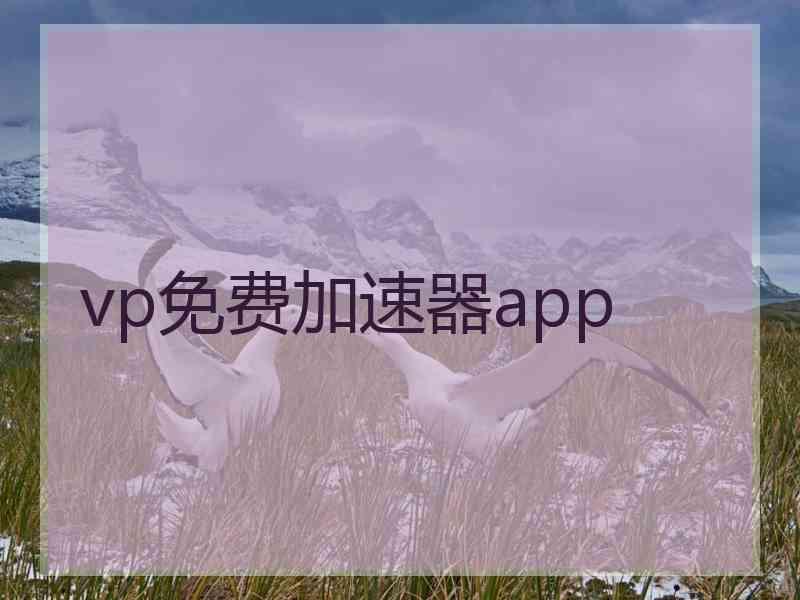 vp免费加速器app