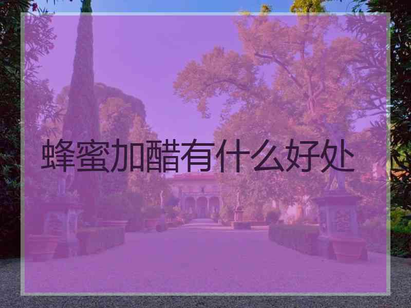 蜂蜜加醋有什么好处