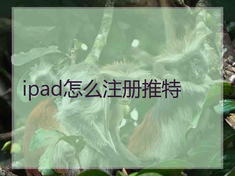 ipad怎么注册推特