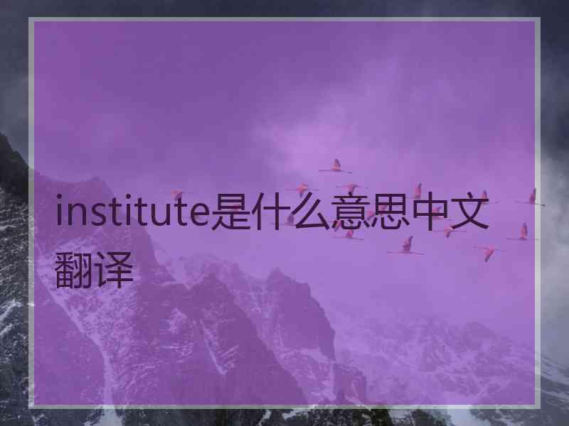 institute是什么意思中文翻译