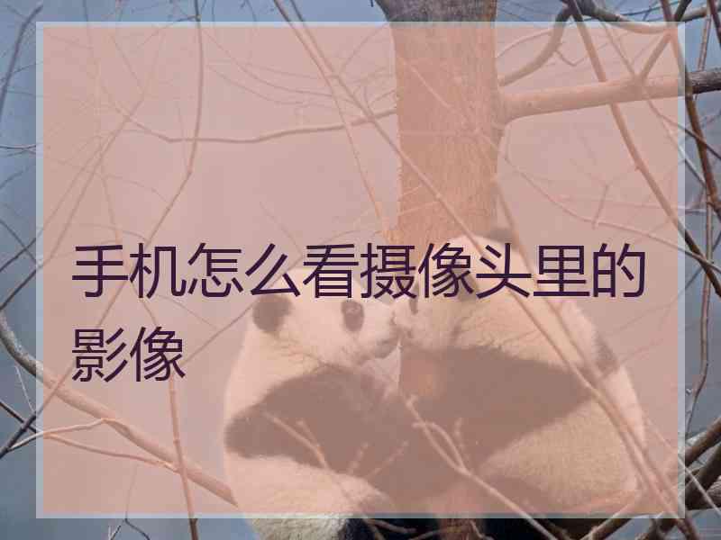 手机怎么看摄像头里的影像