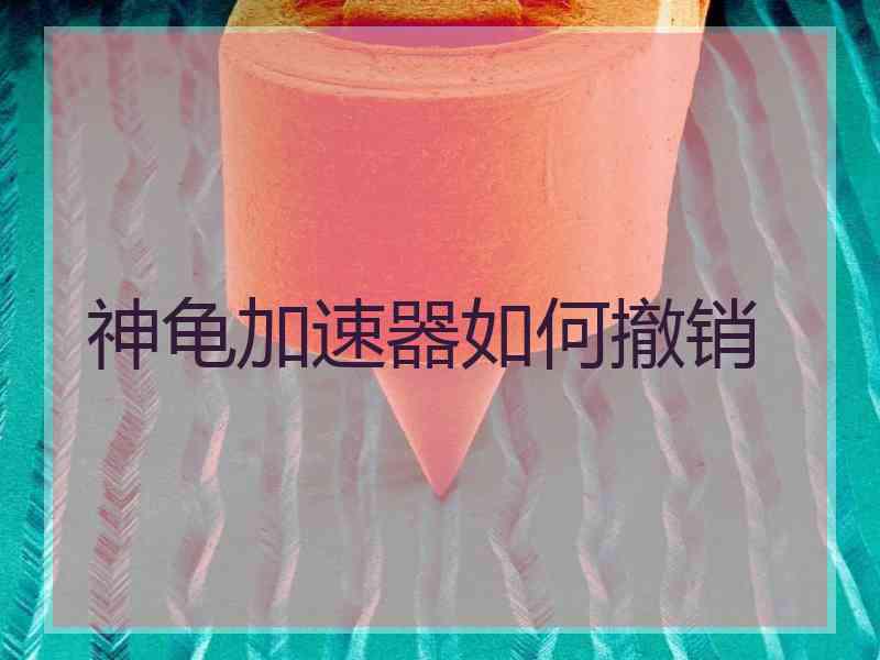 神龟加速器如何撤销