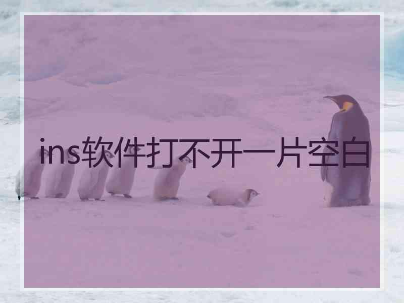 ins软件打不开一片空白