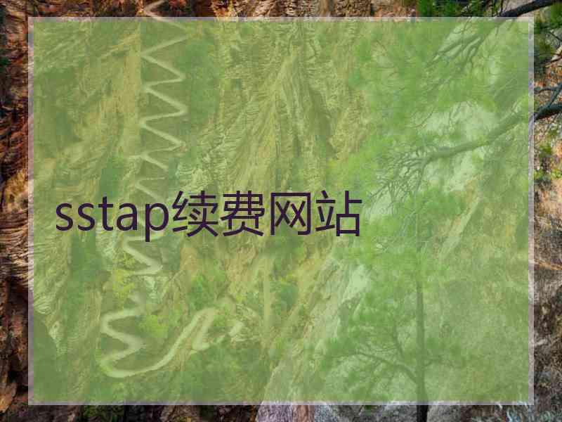 sstap续费网站