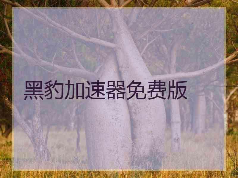 黑豹加速器免费版