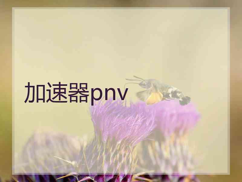 加速器pnv