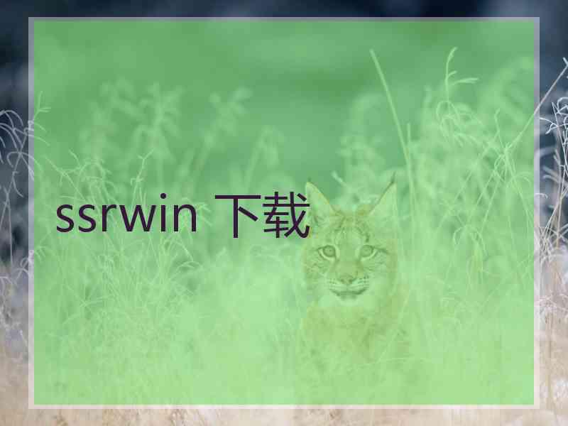 ssrwin 下载