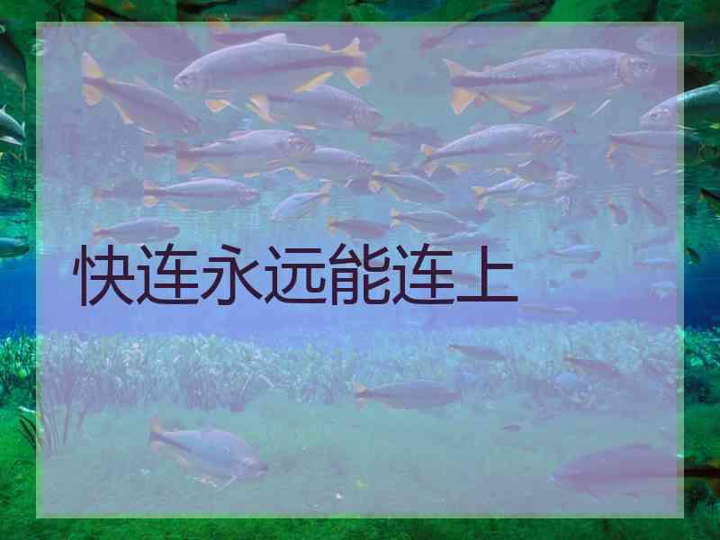 快连永远能连上