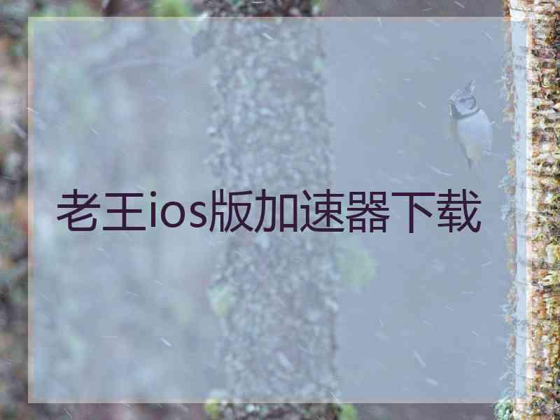 老王ios版加速器下载