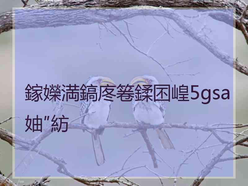 鎵嬫満鎬庝箞鍒囨崲5gsa妯″紡