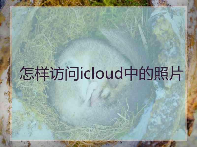 怎样访问icloud中的照片