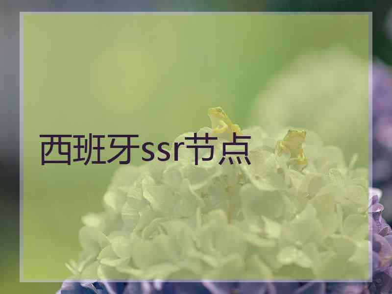 西班牙ssr节点