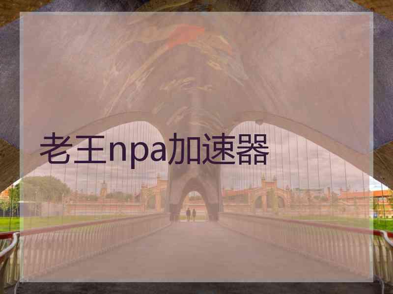 老王npa加速器