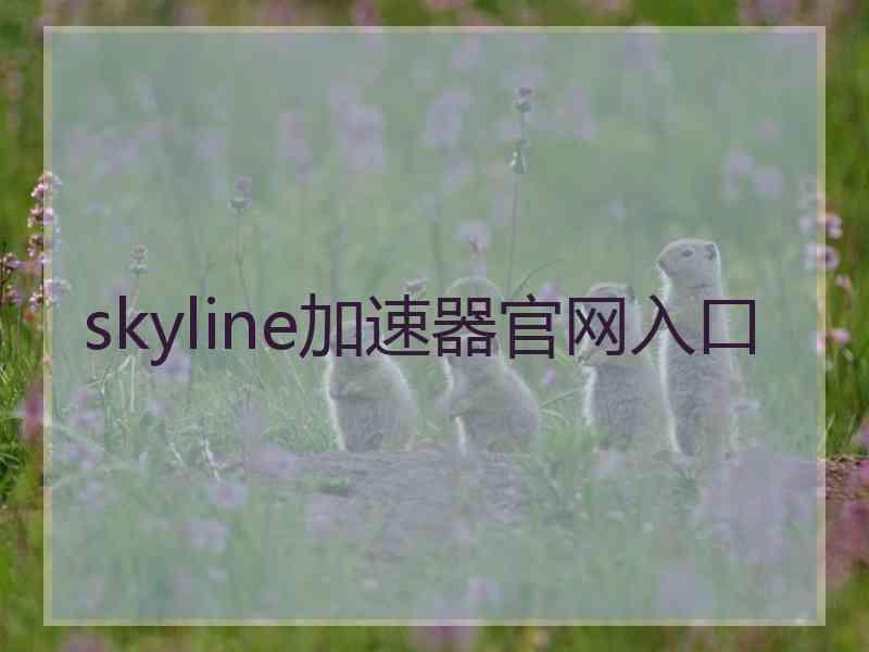 skyline加速器官网入口