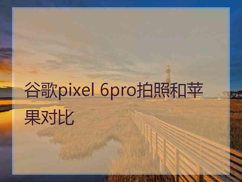 谷歌pixel 6pro拍照和苹果对比