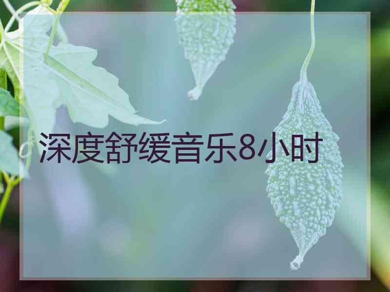 深度舒缓音乐8小时