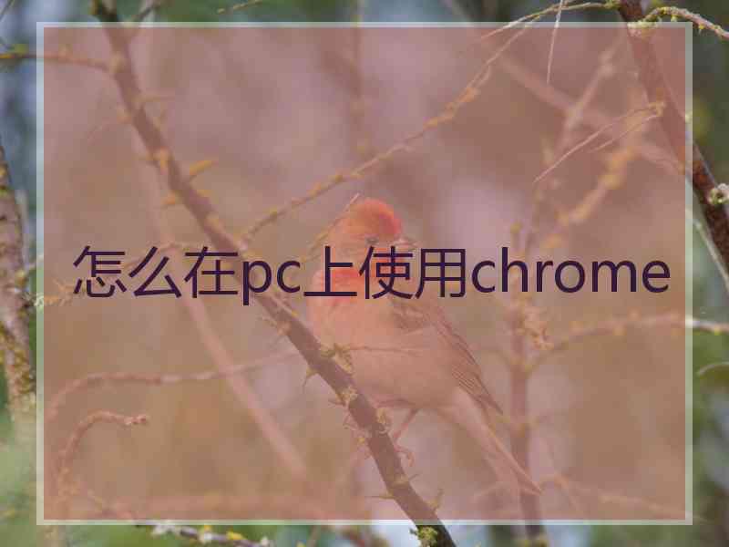 怎么在pc上使用chrome