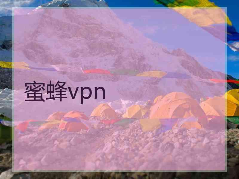 蜜蜂vpn