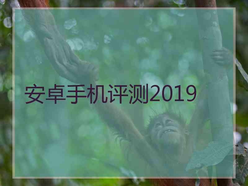 安卓手机评测2019