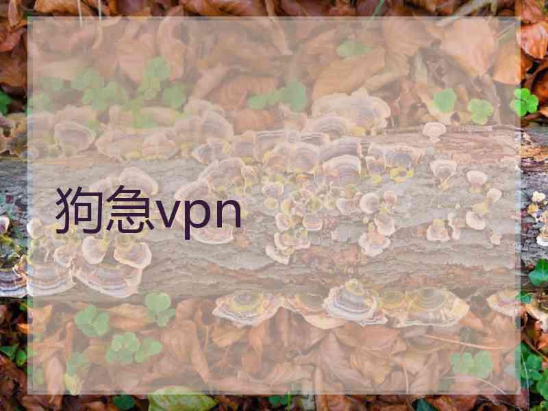 狗急vpn