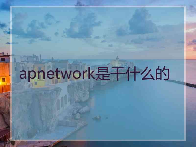 apnetwork是干什么的