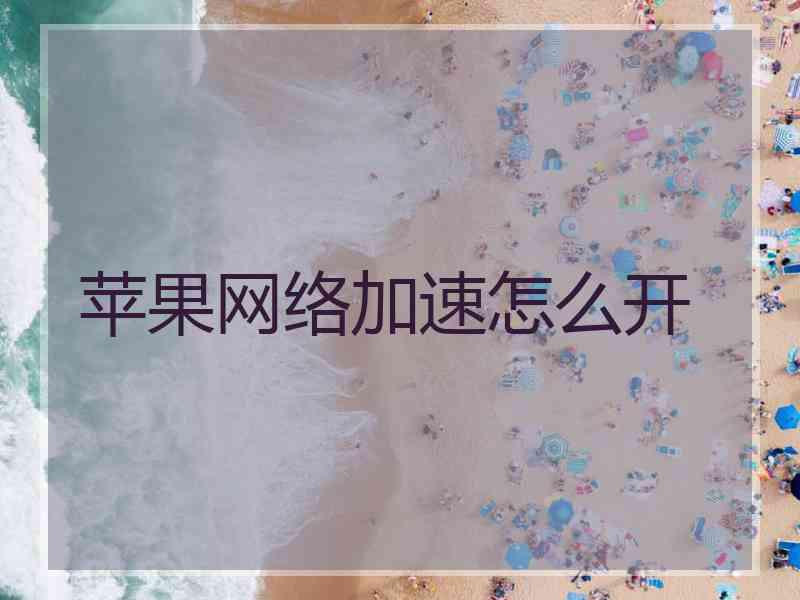 苹果网络加速怎么开