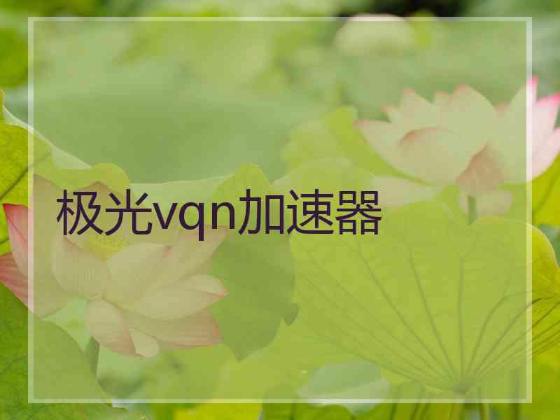 极光vqn加速器