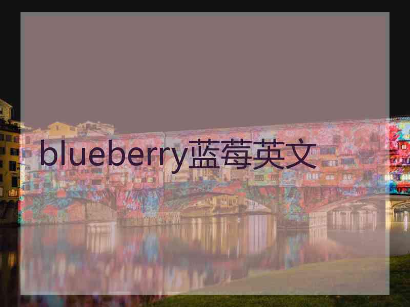 blueberry蓝莓英文