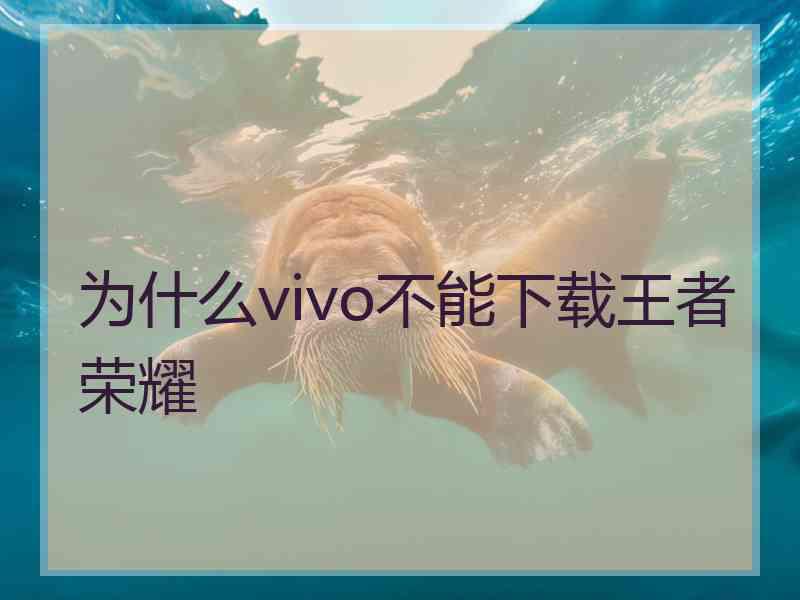 为什么vivo不能下载王者荣耀