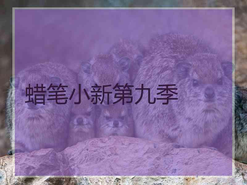 蜡笔小新第九季