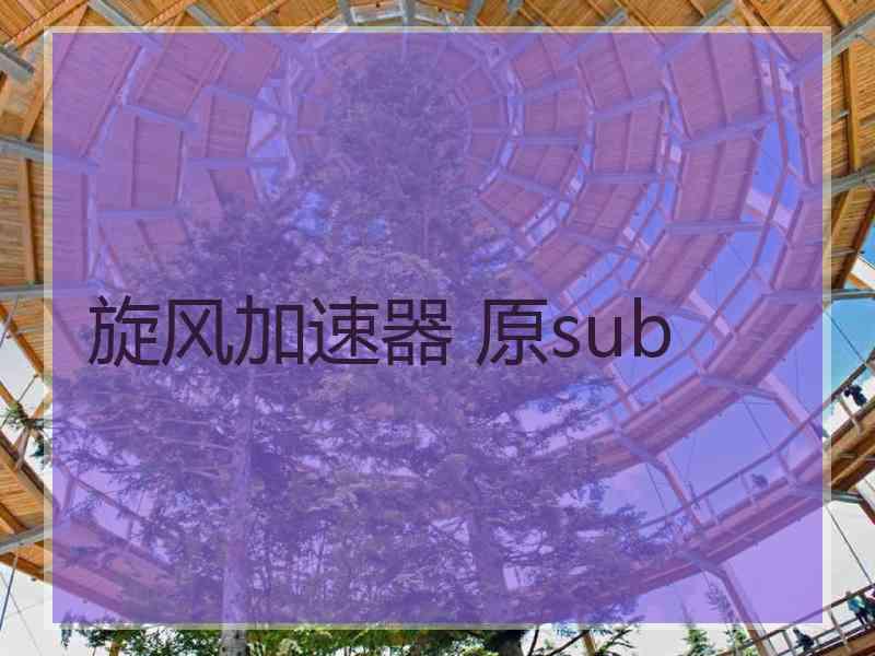 旋风加速器 原sub