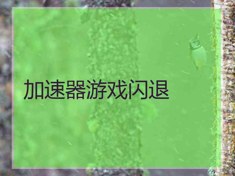 加速器游戏闪退