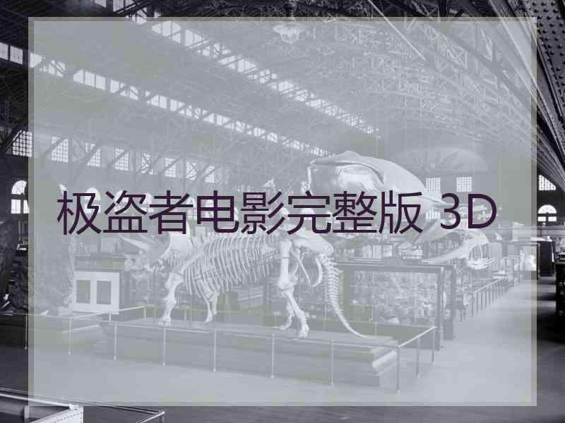 极盗者电影完整版 3D