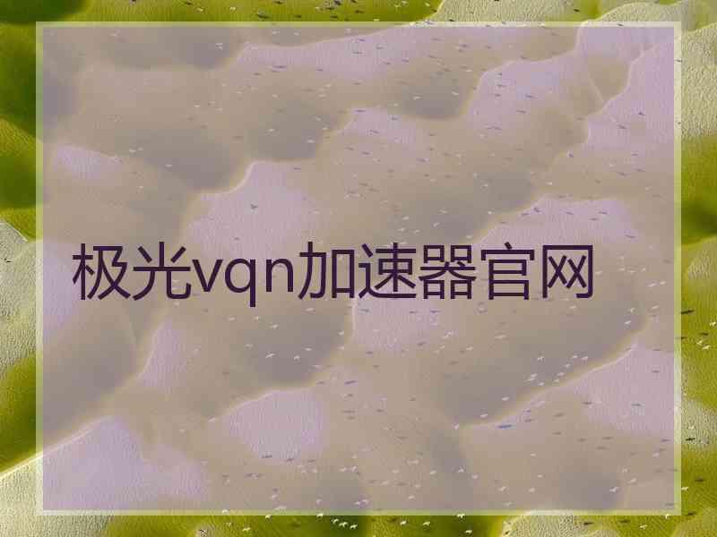 极光vqn加速器官网