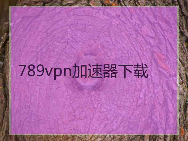 789vpn加速器下载