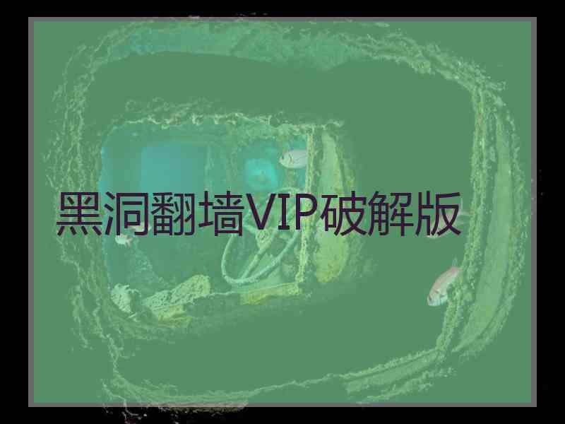 黑洞翻墙VIP破解版