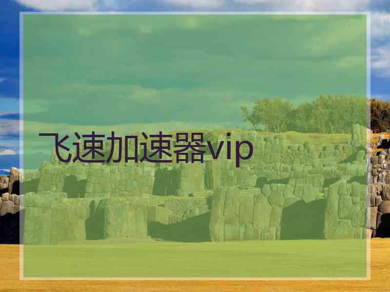 飞速加速器vip