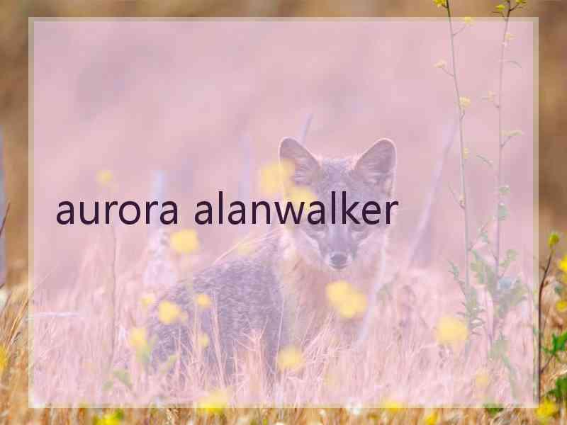 aurora alanwalker