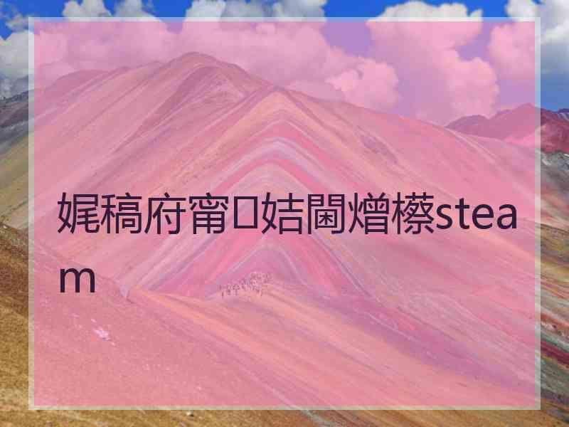 娓稿府甯姞閫熷櫒steam