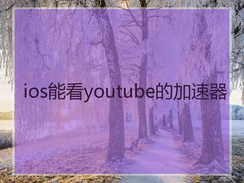 ios能看youtube的加速器