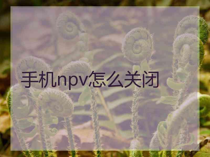 手机npv怎么关闭