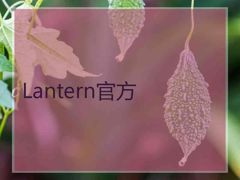 Lantern官方