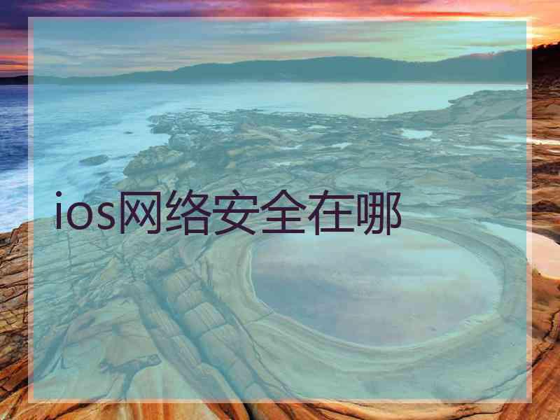 ios网络安全在哪