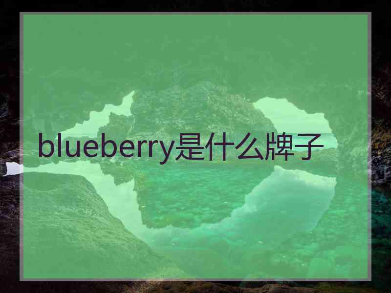 blueberry是什么牌子