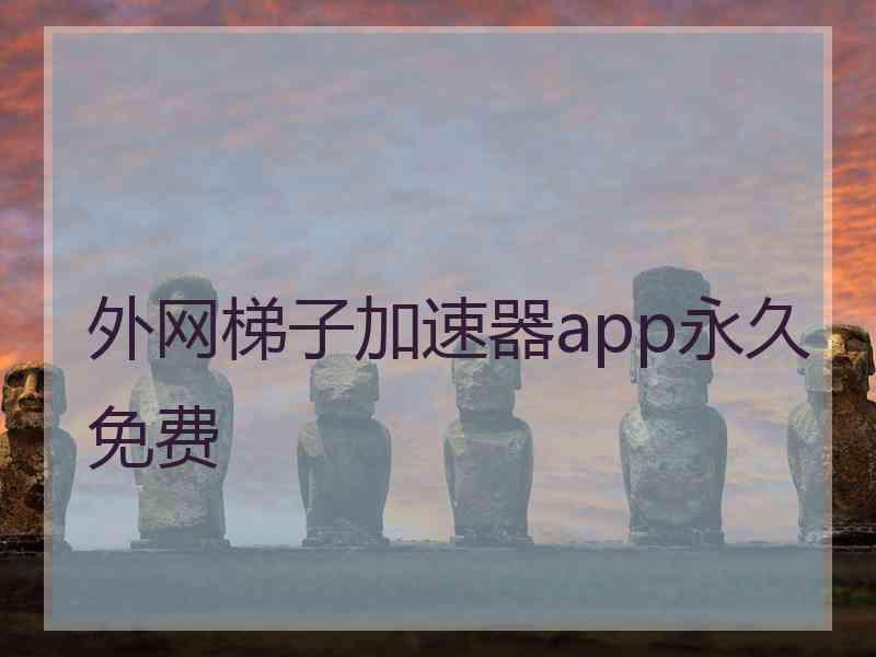 外网梯子加速器app永久免费