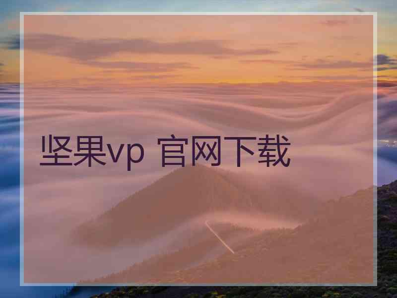 坚果vp 官网下载