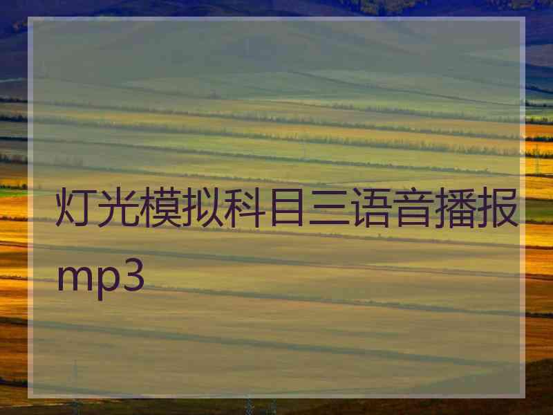 灯光模拟科目三语音播报mp3