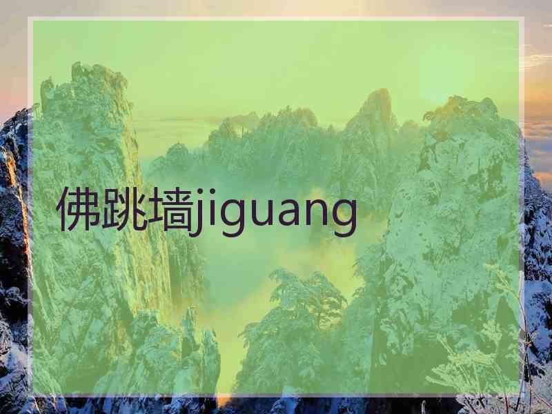 佛跳墙jiguang