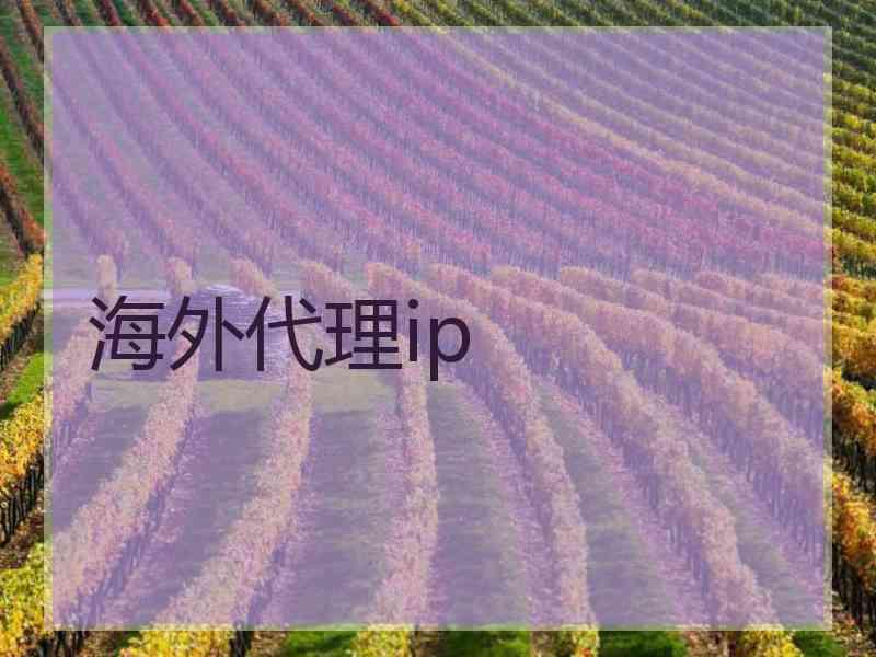 海外代理ip