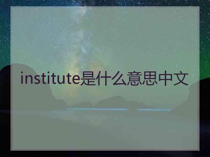 institute是什么意思中文